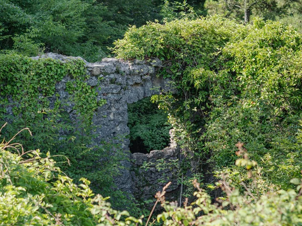 Ancient Masonry Window Covered Almost Entirely Dense Vegetation Forest — Stock Photo, Image