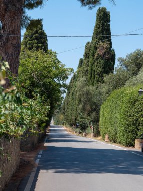 Tuscany 'deki Bolgheri Ortaçağ Köyü' nün Uzun Karakteristik Yolu 'nun etrafı Cypress' lerle çevrili..