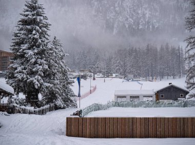 Şiddetli bir kar gününde Kar ve Gri Ahşap Kulübe ile kaplı Uzun firavun ağacı Kayak yamaçlarının yanında.