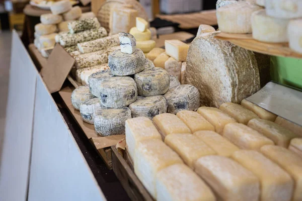 Caciotta Τυρί Και Άλλα Είδη Ιταλικών Τυριών Για Την Έκθεση — Φωτογραφία Αρχείου