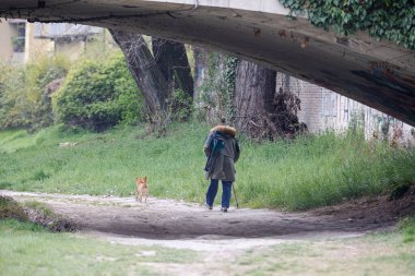Küçük Köpeğiyle yürüyen adam ve bir köy yolunda destek çubuğu Masonry Köprüsü 'nün altından geçiyor..