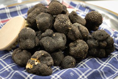 Yapay Çimen İzleri Kırmızı Bitkiler ve Aynı Rengin Kırmızı Arkaplan Duvarı 'na yerleştirildi.