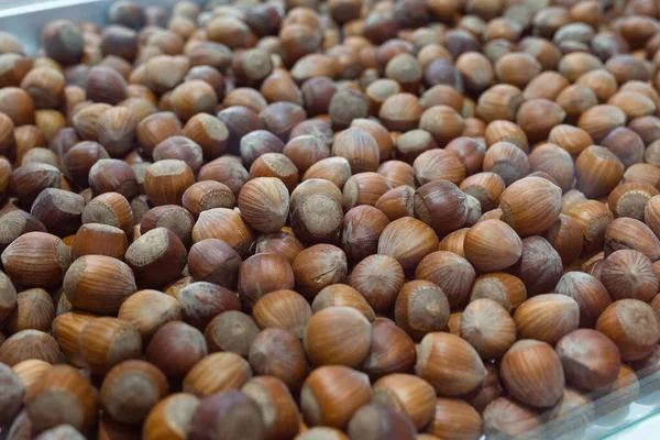 Many Hazelnuts Exposed Large Container — Stock Photo, Image