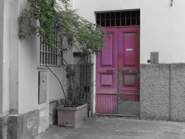 Yeşil yapraklı bitkinin yanındaki antika kapı.