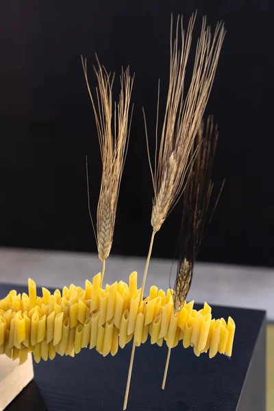 Uncooked Italian Pasta Penne Arranged Next Each Other Wheat Thorns — Fotografie, imagine de stoc