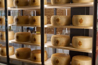Parmesan İtalyan Peynir Tekerlekleri Bir mağazadaki ahşap raflarda dinleniyor.