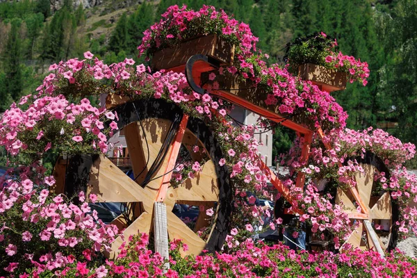 Pembe Çiçeklerle Kaplı Yarış Bisikletinin Tahtasından Yapılmış Dekoratif Heykel — Stok fotoğraf