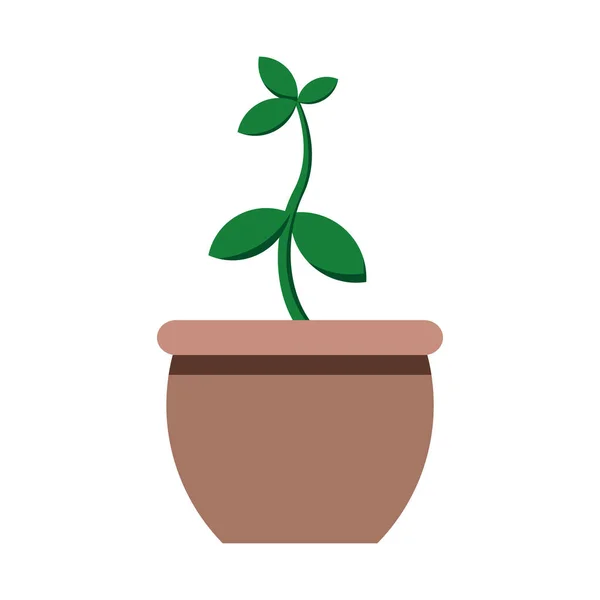 Tree Plant Pot Leaf Leaves — стоковый вектор