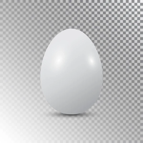 White Egg Realistic Vector — Stock Vector