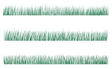 Dar yapraklar büyüyen yeşil çimenler