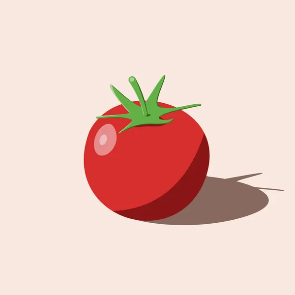 Tomato Red Color Vector Illustration — Stockvektor