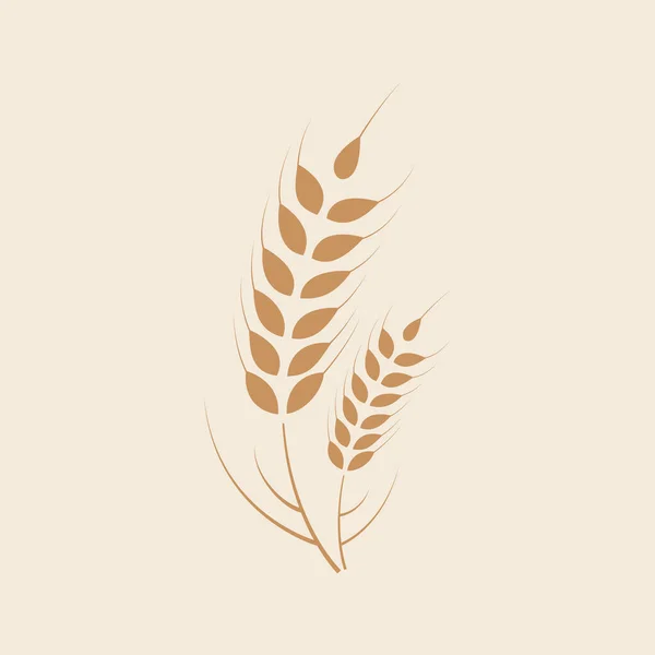 Buğday Kulaklı Tahıl Tohumu — Stok Vektör
