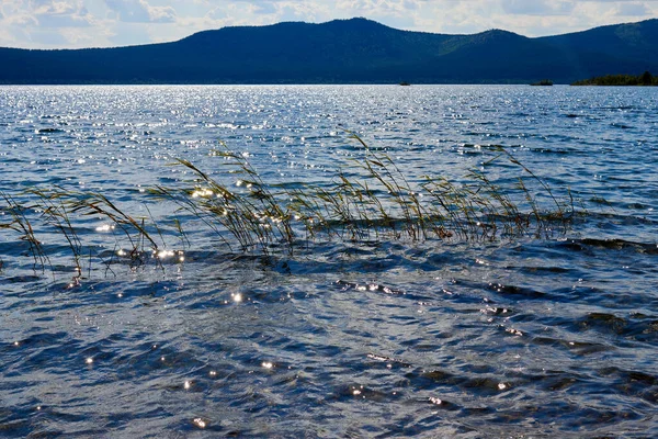 水面から突き出た葦の茎を持つ湖の幻想的な景色 — ストック写真