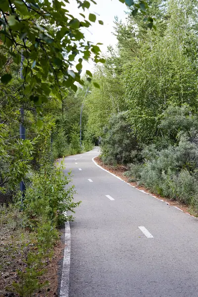 Ağaçlar arasında işaretli asfalt bisiklet yolu — Stok fotoğraf