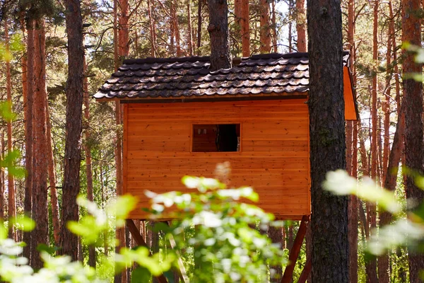 森林中的树桩上的猎塔或树屋 — 图库照片