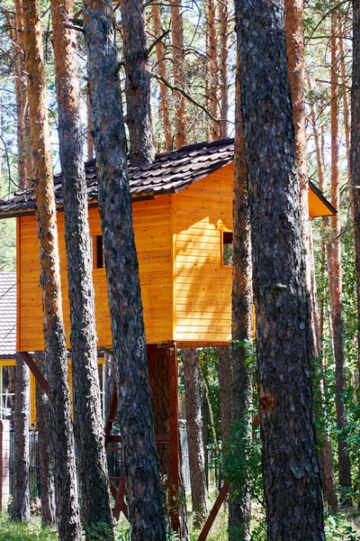 Torre de caza o casa del árbol sobre pilotes en el bosque Fotos de stock