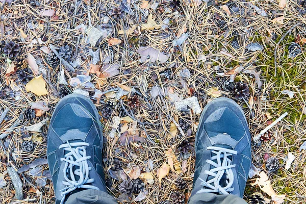 Vista dall'alto di gambe da uomo in piedi su aghi di pino caduti — Foto Stock