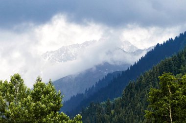 köknar ağaçlarıyla kaplanmış dağlar ve gök gürültülü bulutlarla kaplı bir gökyüzü.