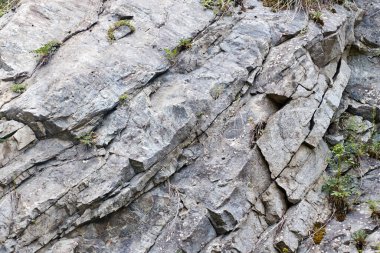 Çimenlerle kaplı granit kaya. soyut arkaplan