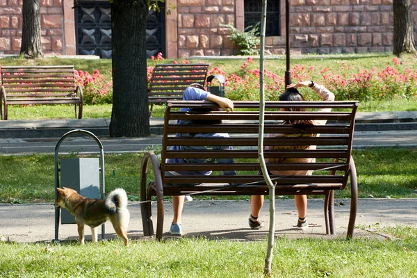Duas Jovens Mulheres Com Cão Uma Coleira Sentado Banco Parque — Fotografia de Stock
