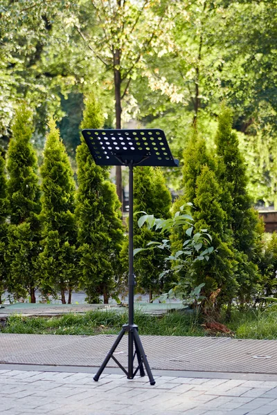 Stand Musique Libre Sur Une Rue Piétonne Ville Jour Été — Photo