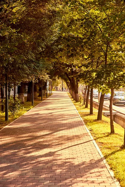 Calçada Feita Pedras Pavimentação Cimento Com Árvores Longo Dele Pôr — Fotografia de Stock