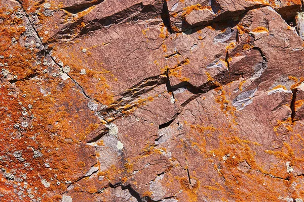 Textura Piedra Basalto Natural Con Grietas Cubiertas Musgo —  Fotos de Stock