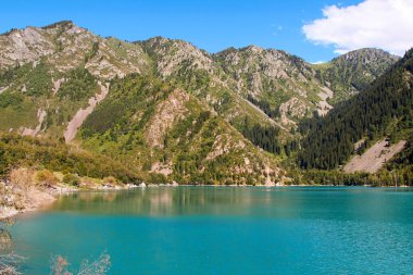 Güneşli yaz gününde köknar ağaçlarıyla kaplı göl ve dağların manzarası. Kazakistan 'daki Issyk Gölü.