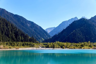Güneşli yaz gününde köknar ağaçlarıyla kaplı göl ve dağların manzarası. Kazakistan 'daki Issyk Gölü' nün yatay fotoğrafı.