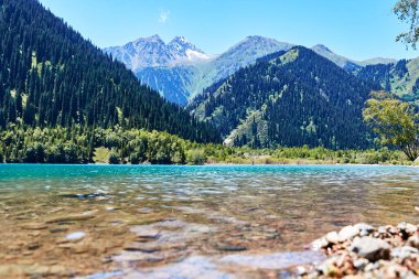 Manzaralı dağ gölü manzarası ve güneşli yaz gününde köknar ağaçlarıyla kaplı dağların yamaçları. Kazakistan 'daki Issyk Gölü' nün yatay fotoğrafı.