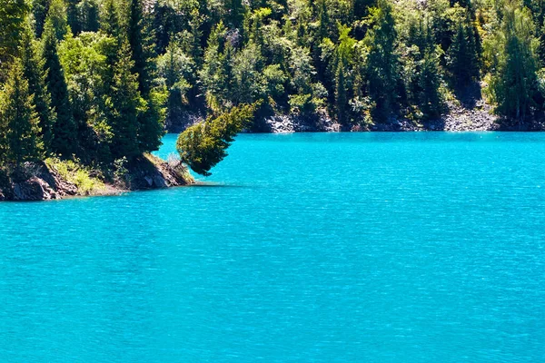 Malerischer Blick Auf Den Bergsee Mit Dem Mit Tannen Bewachsenen — Stockfoto