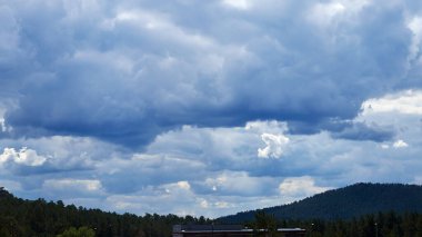 Çam ormanının üzerindeki dramatik fırtınalı bulutlu manzaranın panoramik görüntüsü