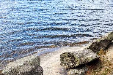 Ormanla kaplı bir gölün kıyısındaki taşlar. göl suyu dalgaları