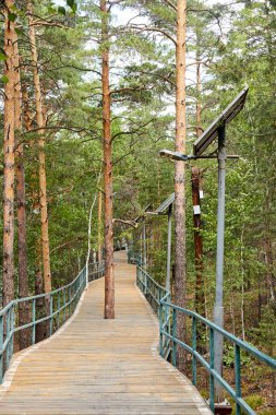 Ormanda yürüme ve bisiklet yollarının ortasında çam ağaçları büyür. Ahşap kaplama ve çelik parmaklıklar ile.