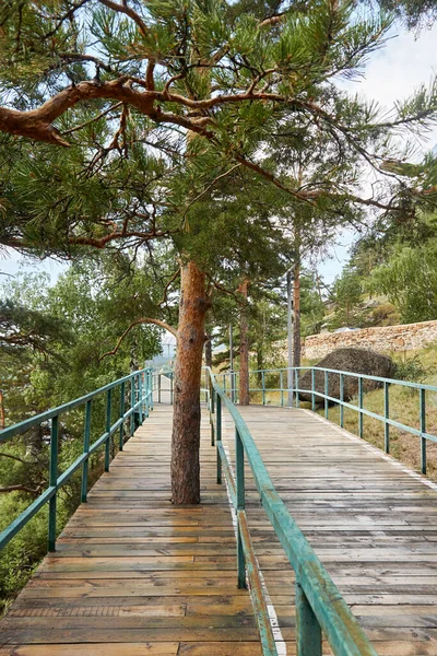 Caminhadas Ciclovias Floresta Com Cobertura Madeira Grades Aço — Fotografia de Stock