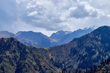 köknar ağaçlarıyla kaplı yeşil dağların panoramik manzarası orman ve bulutlu gökyüzü