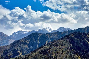 köknar ağaçlarıyla kaplı yeşil dağların panoramik manzarası orman ve bulutlu gökyüzü