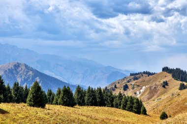 köknar ağaçlarıyla kaplı yeşil dağların panoramik manzarası orman ve bulutlu gökyüzü