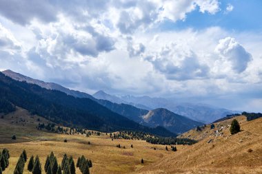 köknar ağaçlarıyla kaplı yeşil dağların panoramik manzarası orman ve bulutlu gökyüzü