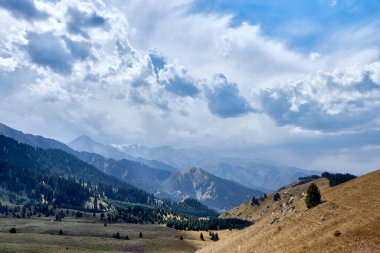 köknar ağaçlarıyla kaplı yeşil dağların panoramik manzarası orman ve bulutlu gökyüzü