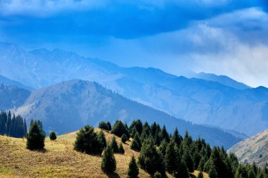 köknar ağaçlarıyla kaplı yeşil dağların panoramik manzarası orman ve fırtınalı bulutlu gökyüzü