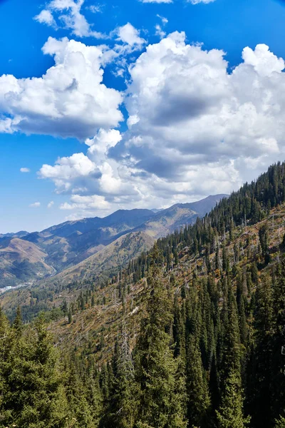 Vista Panorámica Verdes Montañas Cubiertas Abetos Bosque Cielo Nublado —  Fotos de Stock