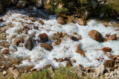 Ağaçlar ve taşlar arasında akan dağ nehrinin fotoğrafı. Bulanık hareket arkaplanı
