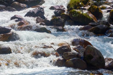 Ağaçlar ve taşlar arasında akan dağ nehrinin fotoğrafı. Bulanık hareket arkaplanı