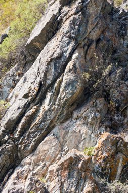 granit kayalıklar radyal çatlaklar ve küçük çalılarla kaplanmış kırıntılar.