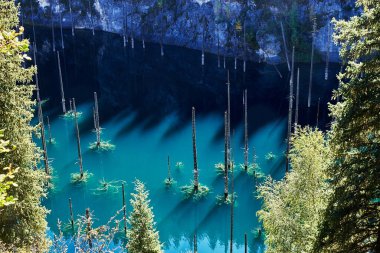 Sel basmış köknar ağaçlarıyla dolu bir dağ gölü manzarası. Kazakistan 'daki Kaindy Gölü. Kolsay Gölleri Ulusal Parkı