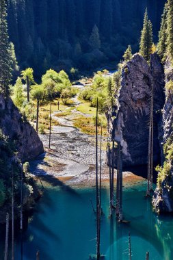 Etrafında köknar ağaçları olan dağ gölü manzarası. Kazakistan 'daki Kaindy Gölü. Kolsay Gölleri Ulusal Parkı