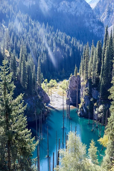 Bergseenlandschaft Mit Tannen Die Sie Herum Wachsen Kaindy See Kasachstan — Stockfoto