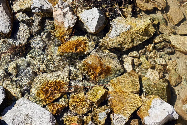 Agua Clara Manantial Corriendo Entre Piedras Fondo Movimiento Borroso —  Fotos de Stock