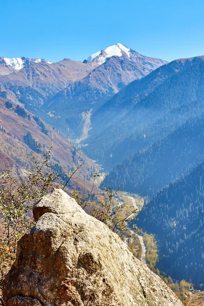 Vista Panorámica Del Desfiladero Las Montañas Ladera Montaña Cubierta Bosque — Foto de Stock